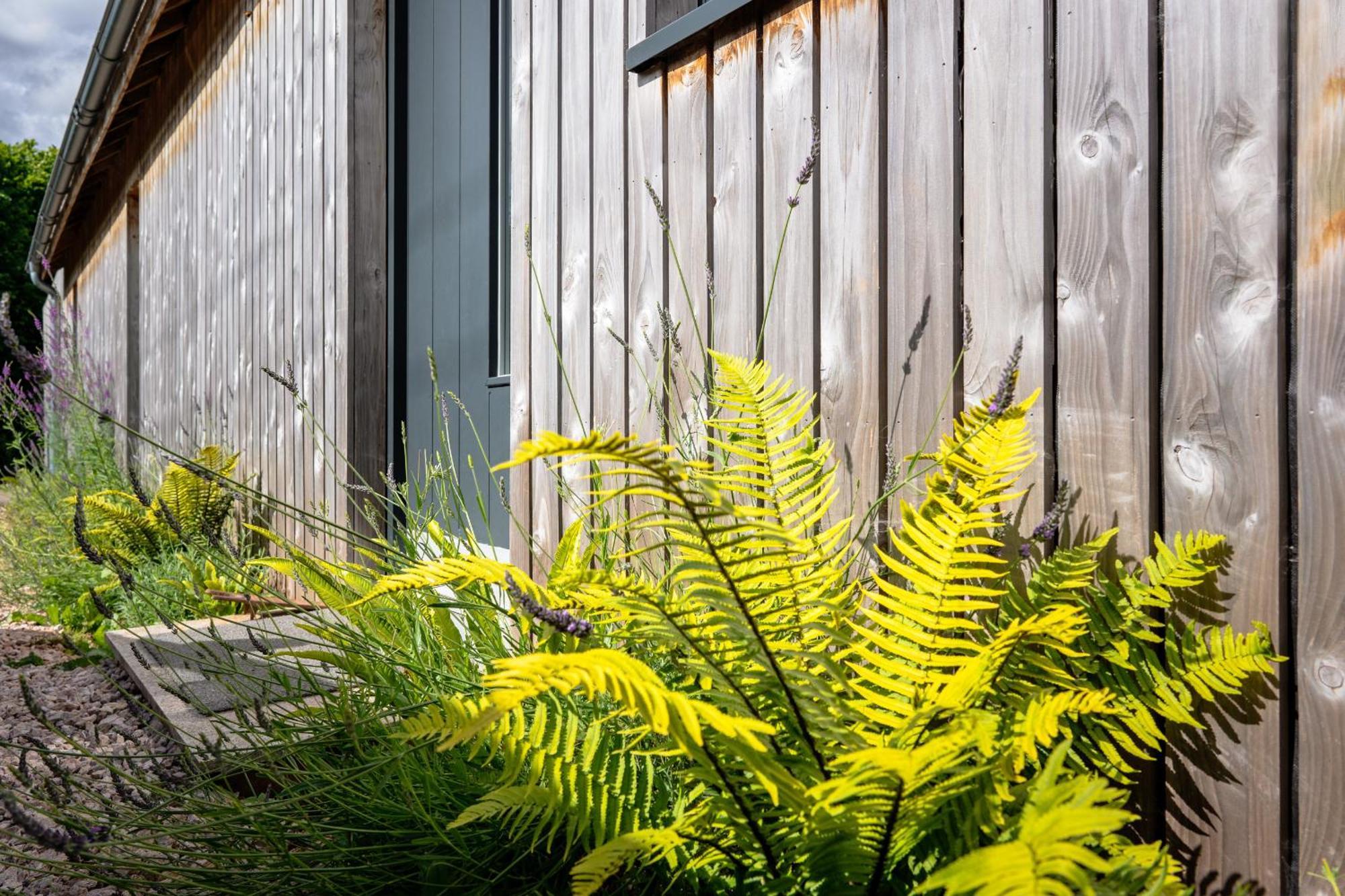 Sunnybrook - A Luxurious Carbon Neutral House Close To Beach, Shaldon Luaran gambar